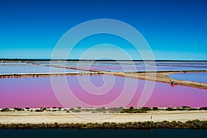 Pink salt field in Camargue france