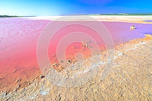 Pink Salt Lake Australia photo
