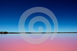 Pink salt lake and blue sky in Camargue