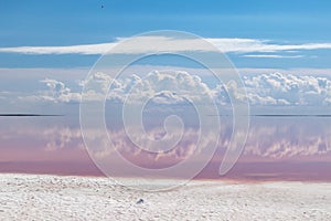 Pink salt lake coast water with cloudy blue sky