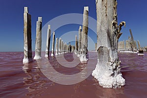Pink salt lake with salt crystals on wooden pillars.