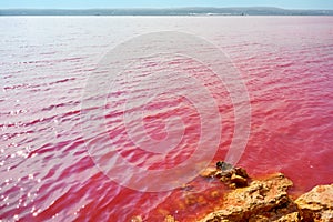 Pink salt lake La Salinas de La Mata of Torrevieja photo
