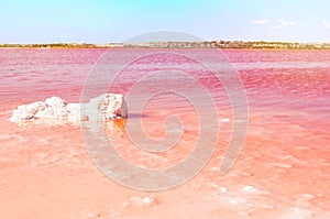 Pink Salt Lake and a lump of salt in the water. Torrevieja, Spain