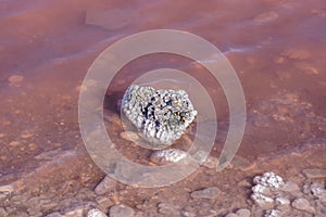 Pink salt lake at Salin d’Aigues-Mortes