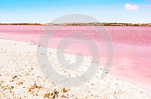 Pink Salt lake and the shore is covered with salt. Torrevieja, Spain