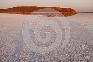 Pink salt lake at sunset. Shadow silhouette of a couple in love on background of the lake. Water surface reflects the