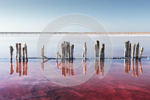 Pink salt lake water with wooden posts