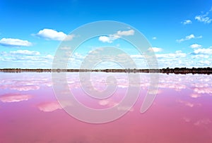Pink salt lake in Western Australia