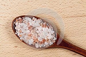 Pink Salt on Spoon