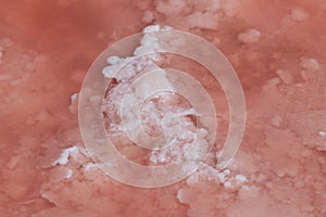 Pink salt on surface of salty pink lake, close-up. Healthy product used in cosmetology and alternative medicine. Unique color of
