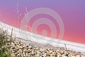 Pink salt water in mineral lake with dry cristallized salty coast. Aigues Mortes, Salt Lakes, France