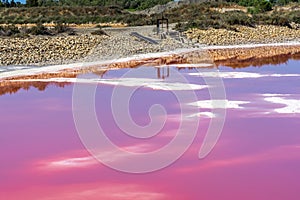 Pink salt water in mineral lake with dry cristallized salty coast. Aigues Mortes, Salt Lakes, France