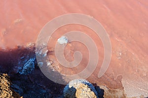 Pink salty Syvash Lake, Ukraine