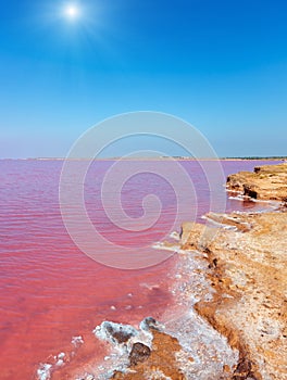 Pink salty Syvash Lake, Ukraine