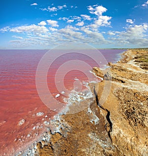 Pink salty Syvash Lake, Ukraine