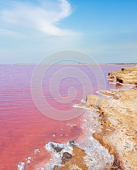 Pink salty Syvash Lake, Ukraine