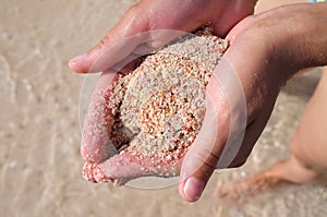 Pink sand of Elafonissi beach - Crete