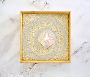 Pink scallop shell on sand