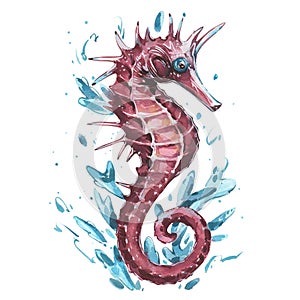 Pink sea horse with water splash isolated on white background. Watercolor hand drawn illustration. Art for design poster