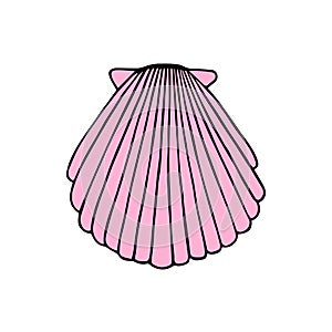 Pink sea shell vector hand drawn illustration