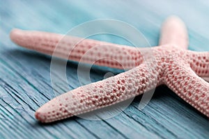 Pink sea star