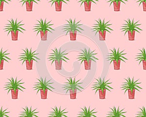 Pink seamless pattern with aloe in the pot