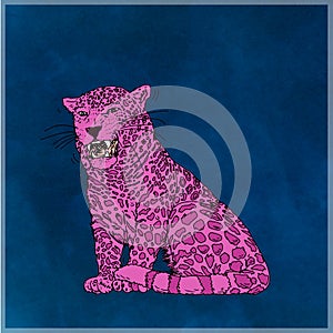 Pink seated panther, with colors and pop art background blue