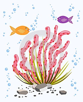 Pink seaweed. Two fishes and stones. Vector graphics. Underwater life.