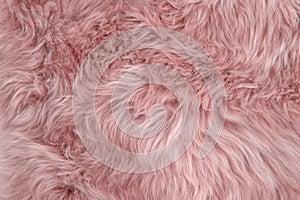 Pink sheepskin rug background sheep fur Wool texture