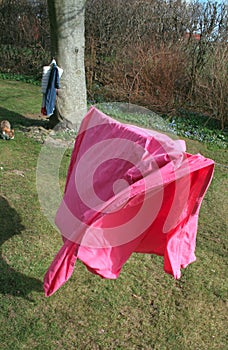 Pink Sheet Drying