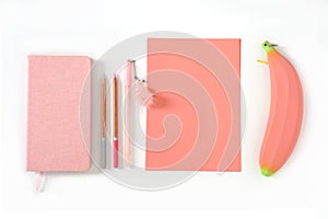 Pink sheets of paper, notepad, pencils, pen with flamingo and pencil case on white background.