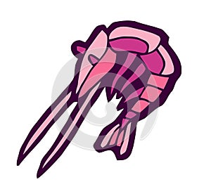 Pink shrimp stylized vector illustration