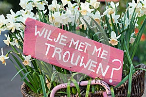 Pink sign in a basket of daffodils saying `Will you marry me?` in Dutch `Wil je met me trouwen photo