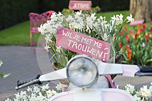 Pink sign in a basket of daffodils on a scooter saying `Will you marry me?` in Dutch `Wil je met me trouwen