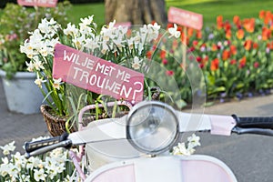 Pink sign in a basket of daffodils on a scooter saying `Will you marry me?` in Dutch `Wil je met me trouwen