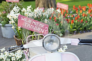 Pink sign in a basket of daffodils on a scooter saying `Will you marry me?` in Dutch `Wil je met me trouwen photo