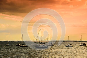 Pink Sky, Sea, Boats, Water