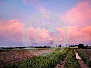 Pink sky after a storm
