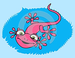 Pink smiling lizard