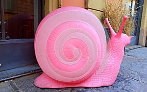 Pink snail, art, design and creativity, slowness and imagination