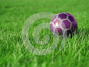 Pink Soccer Ball on Grass photo