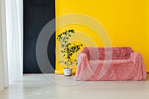 Pink sofa with a domestic plant in the interior of the room