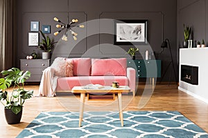Pink sofa in grey living room interior with poster above green c