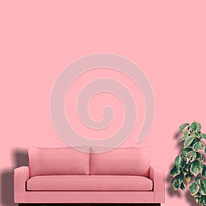 Pink sofa in living room interior with pink wall, minimalist interior design, modern design, m,living room concept