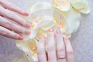 Pink solid color manicure on female hands. Gentle manicure. Gel polish. Well-groomed nails