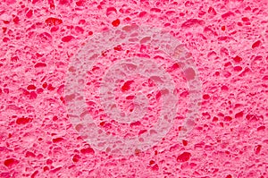 Pink sponge