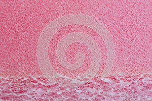 Pink sponge Texture background