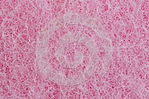 Pink sponge Texture background