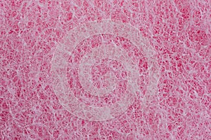 Pink sponge Texture background