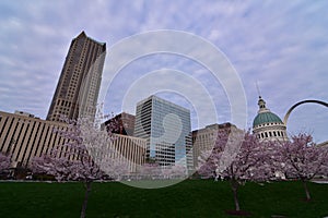 The old courthouse cherry blossoms, and the arch in ST louis